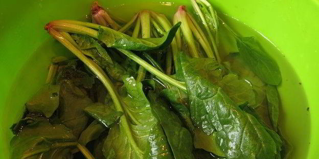 паста с крапивой и шпинатом