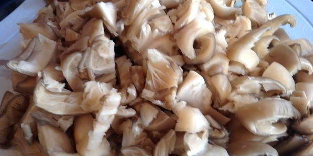 паста с вешенками