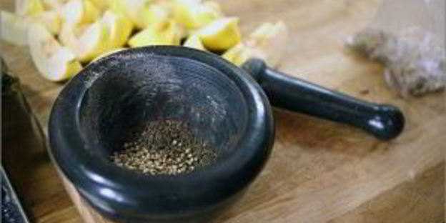 дикий гусь в духовке