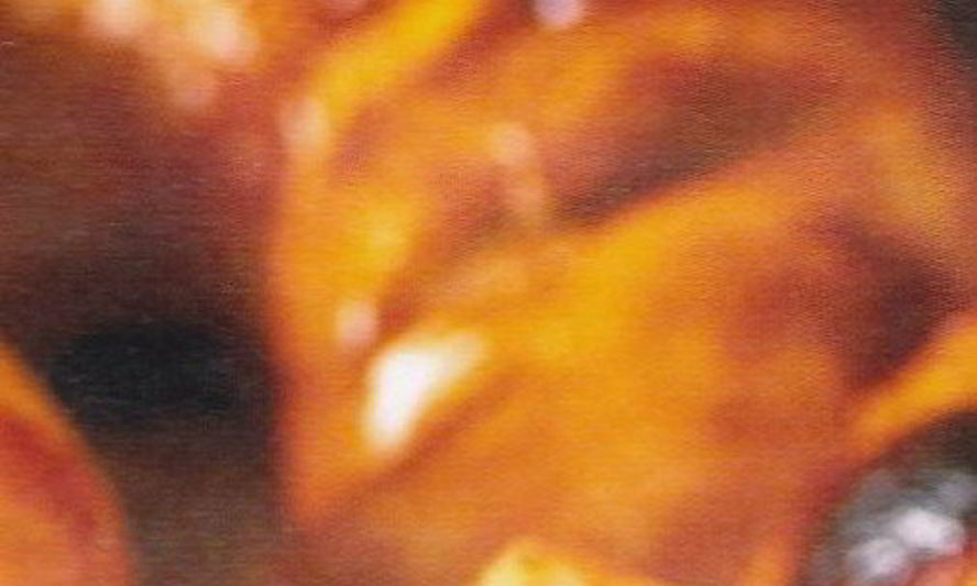 Рецепт куриных ножек в медово-лимонной глазури