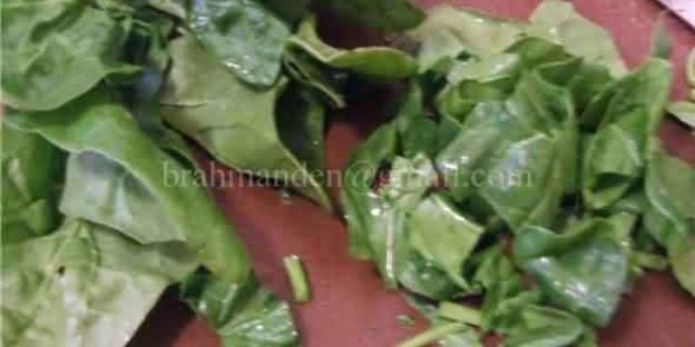 курица на пивной банке