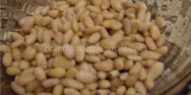 курица на пивной банке