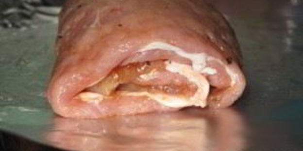 курица со свининой в духовке