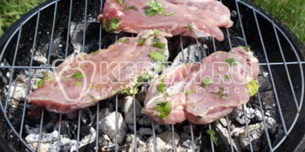 мясо на гриле с кинзой