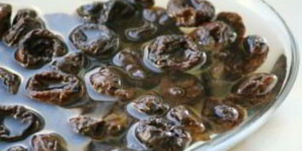 острая баранина с овощами и черносливом