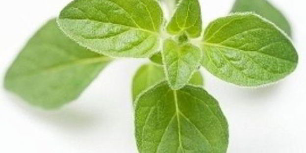 цыпленок с соусом из помидоров и перца