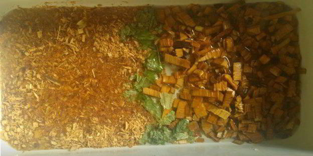 утиная грудка, запеченная с лесными грибами под соусом бешамель по-царски