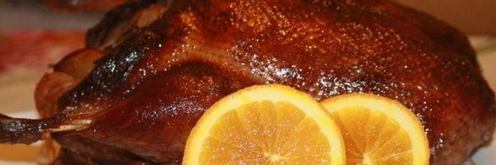 Утка Синяя птица