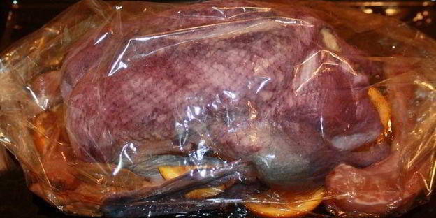 утка синяя птица