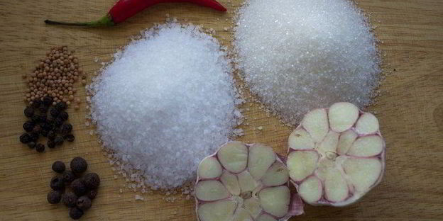 утка в соленаде