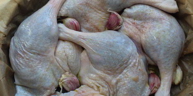 утка в соленаде