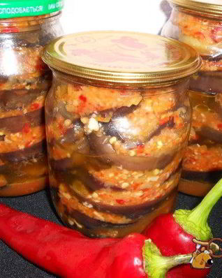 Баклажаны острые Огонек