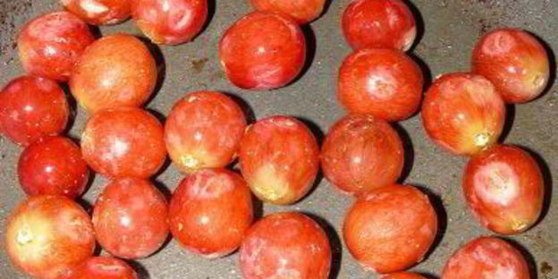 куриная печенка с виноградом и жареным луком