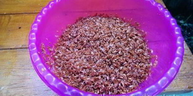 ферганский плов