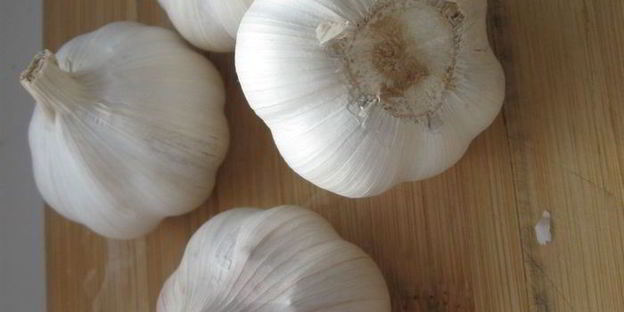 плов друг семьи