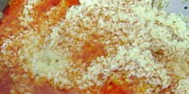 плов с нутом