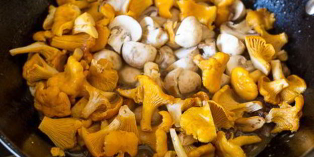 грибное рагу с уткой