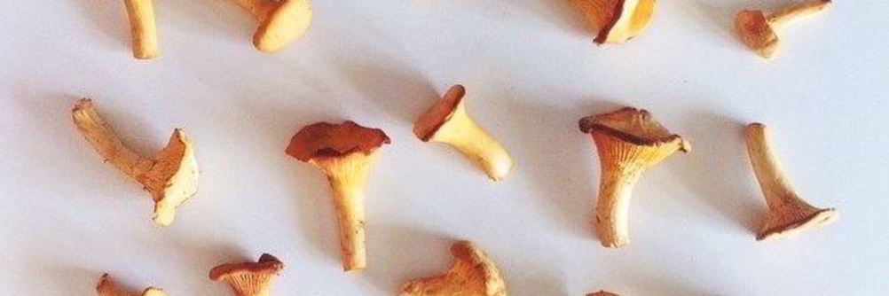 Рагу из лисичек и баклажанов