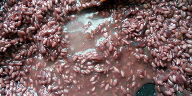 ризотто с красным вином