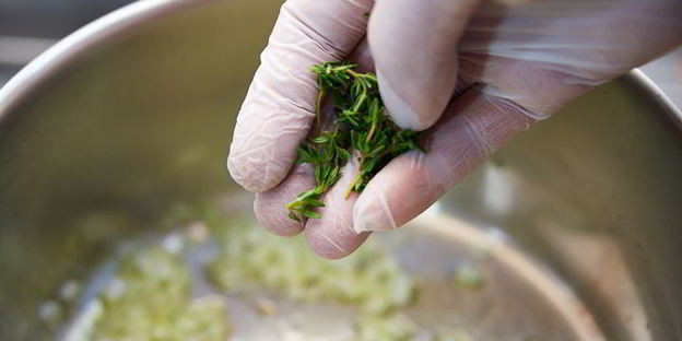 ризотто с осьминогом