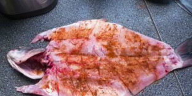 балык из карпа