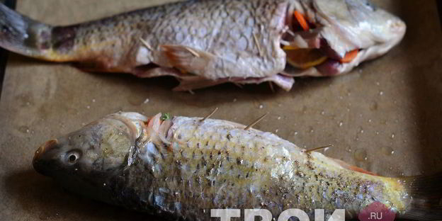 фаршированный карп