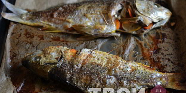 фаршированный карп