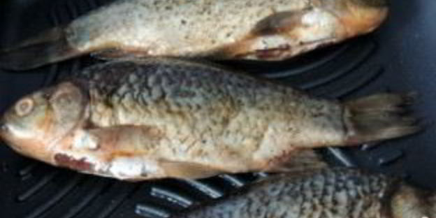 карась на гриле