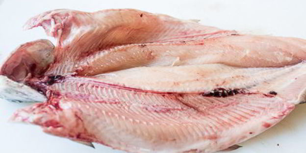 речная форель на гриле с жареным салатом айсберг