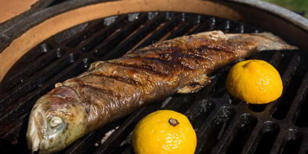 речная форель на гриле с жареным салатом айсберг