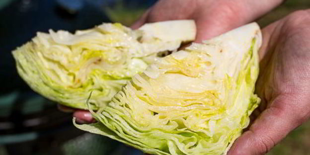 речная форель на гриле с жареным салатом айсберг