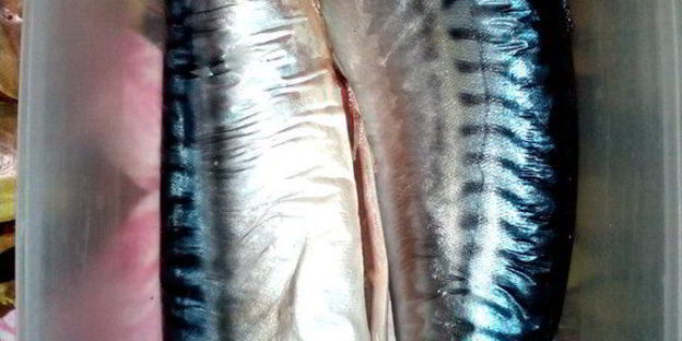 скумбрия соленая