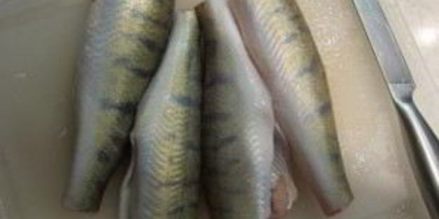 судак в духовке под сметанным соусом