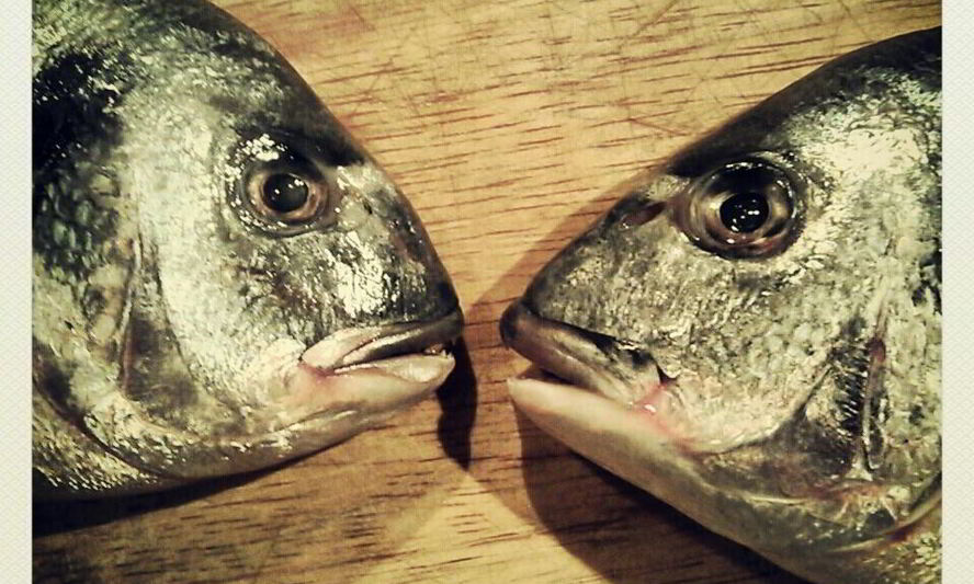 Рецепт запеченной дорады с лимоном и ароматными травами