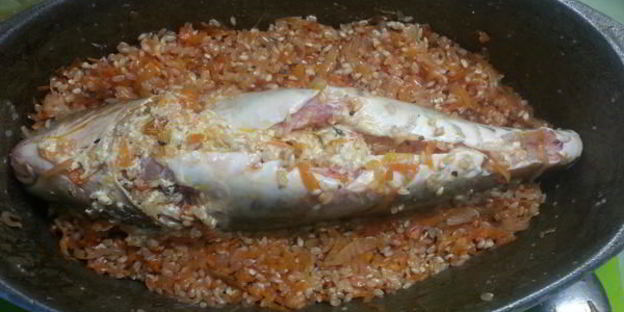 зеркальный карп в утятнице экзотический