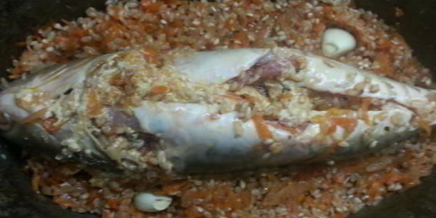 зеркальный карп в утятнице экзотический