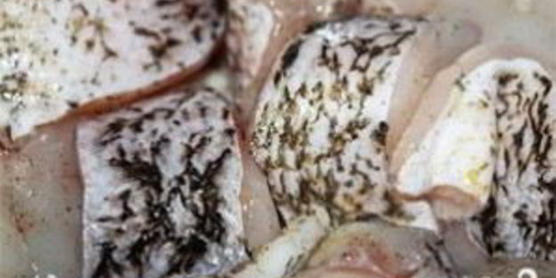 жареная щука