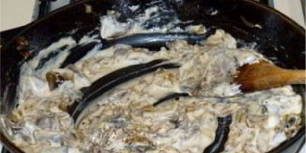 жареные моховики со сметаной