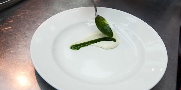 зубатка с капустой