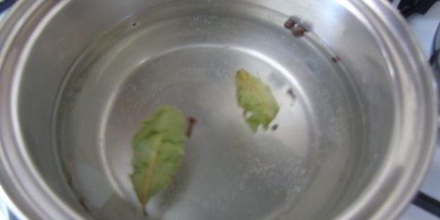 капустка к шашлыку