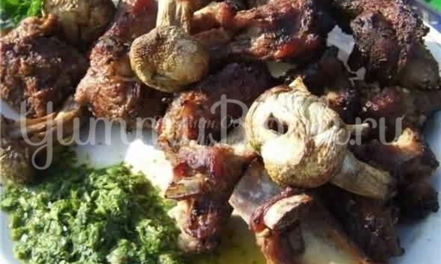 Рецепт шашлыка из козлятины