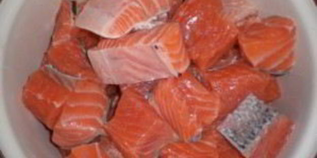 шашлык из лосося