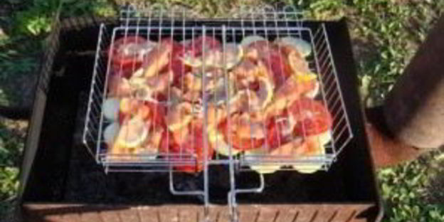 шашлык из лосося