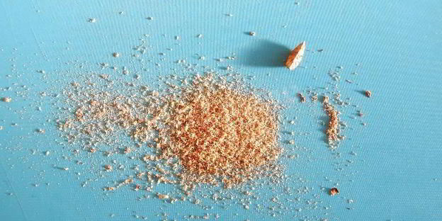 шашлык из свинины с лимоном в аэрогриле