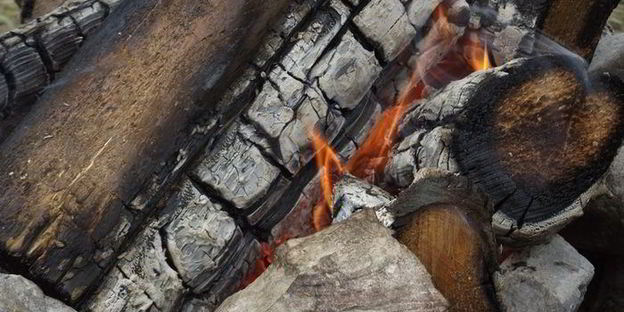 шашлык из свинины с водкой