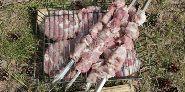 шашлык из свиной шейки с луком