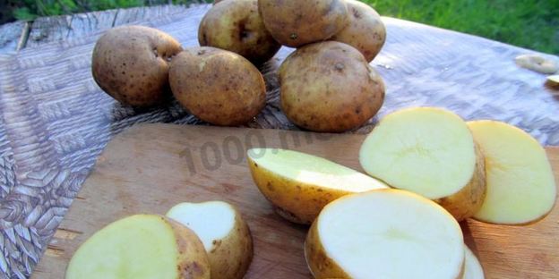 шашлык с салом и картошкой