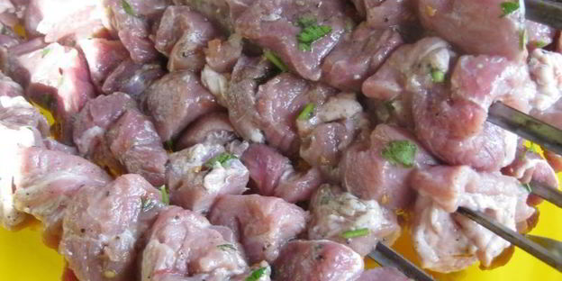 шашлык с соком киви