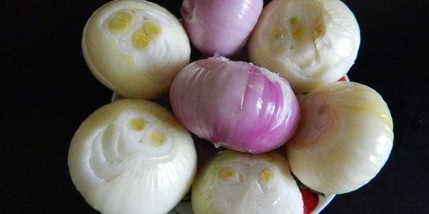 шашлык в луковом маринаде