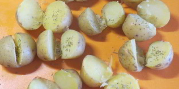 сочные куриные шашлычки